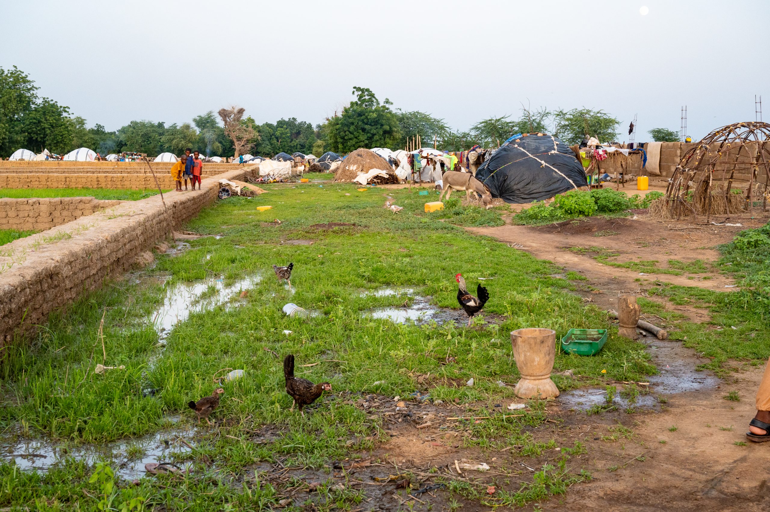 Campement de déplacés